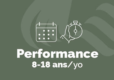 Programme performance